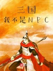 三国我不是NPC