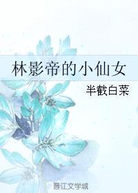 林影帝的小仙女txt网盘