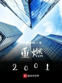 重燃2001小说怎么样